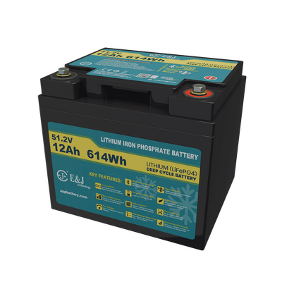 Good price 48V 12Ah LifePO4 Battery Pack Bluetooth Smart BMS Lightweight For E Bike E Scooter online
