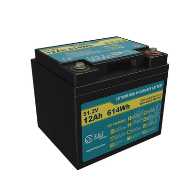 Good price 48V 12Ah Smart LifePO4 Battery Pack 6000 Cycles For Electric Bike Scooter Mobility Cart online